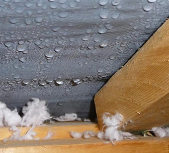 The Importance of Ventilation in Your Roof